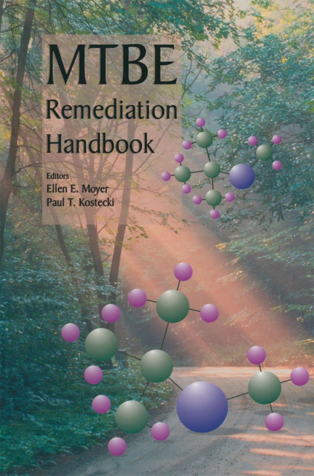 MTBE Remediation Handbook 1st Edition