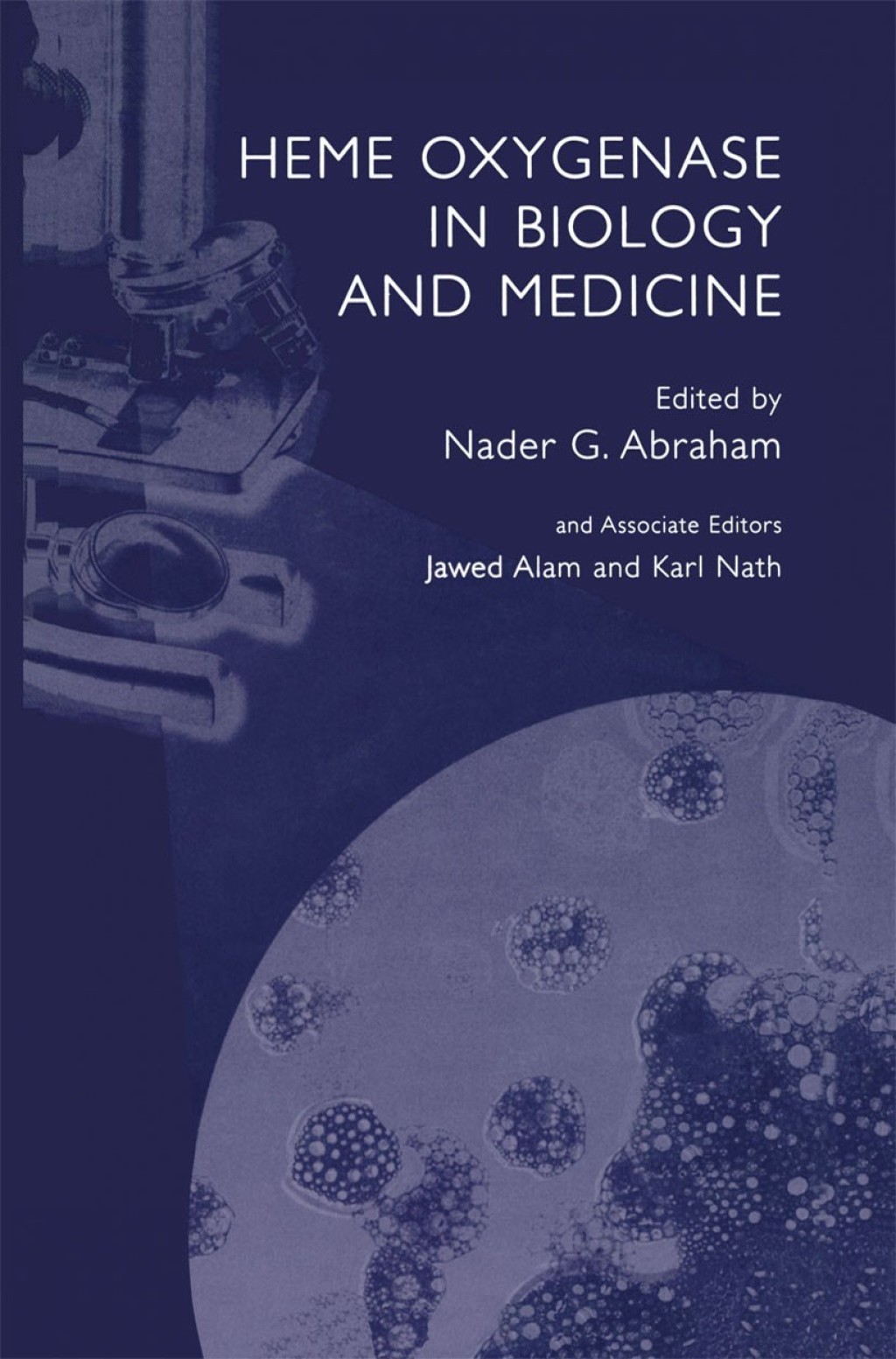 Heme Oxygenase in Biology and Medicine 1st Edition