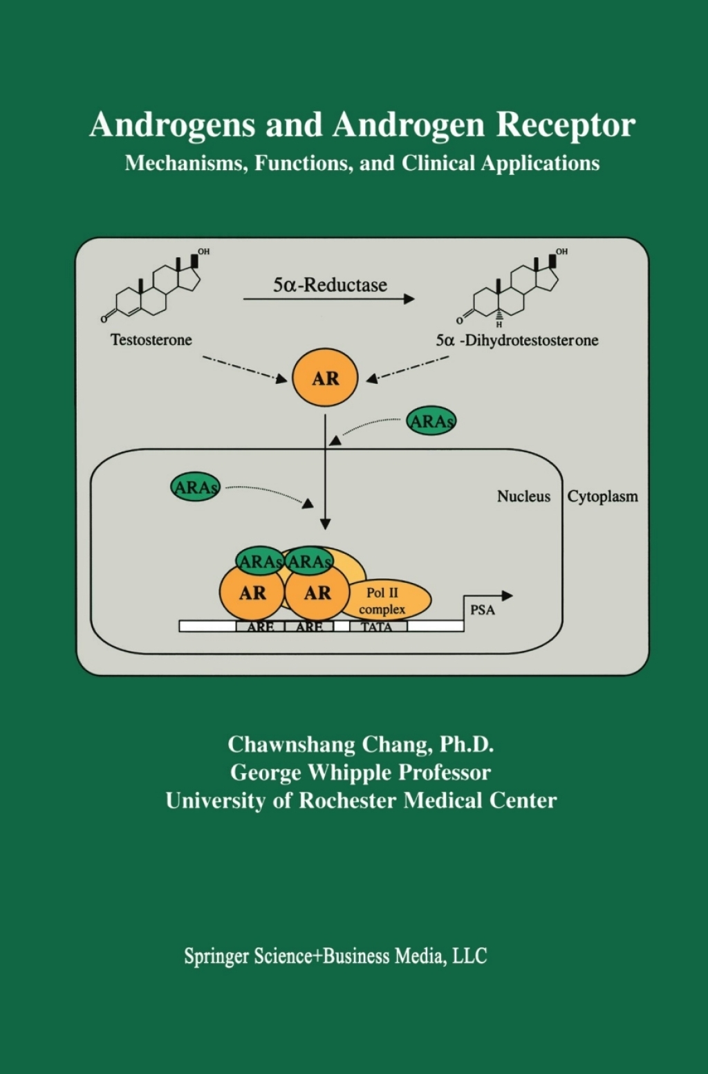 Androgens and Androgen Receptor Mechanisms, Functions, and Clini Applications 1st Edition