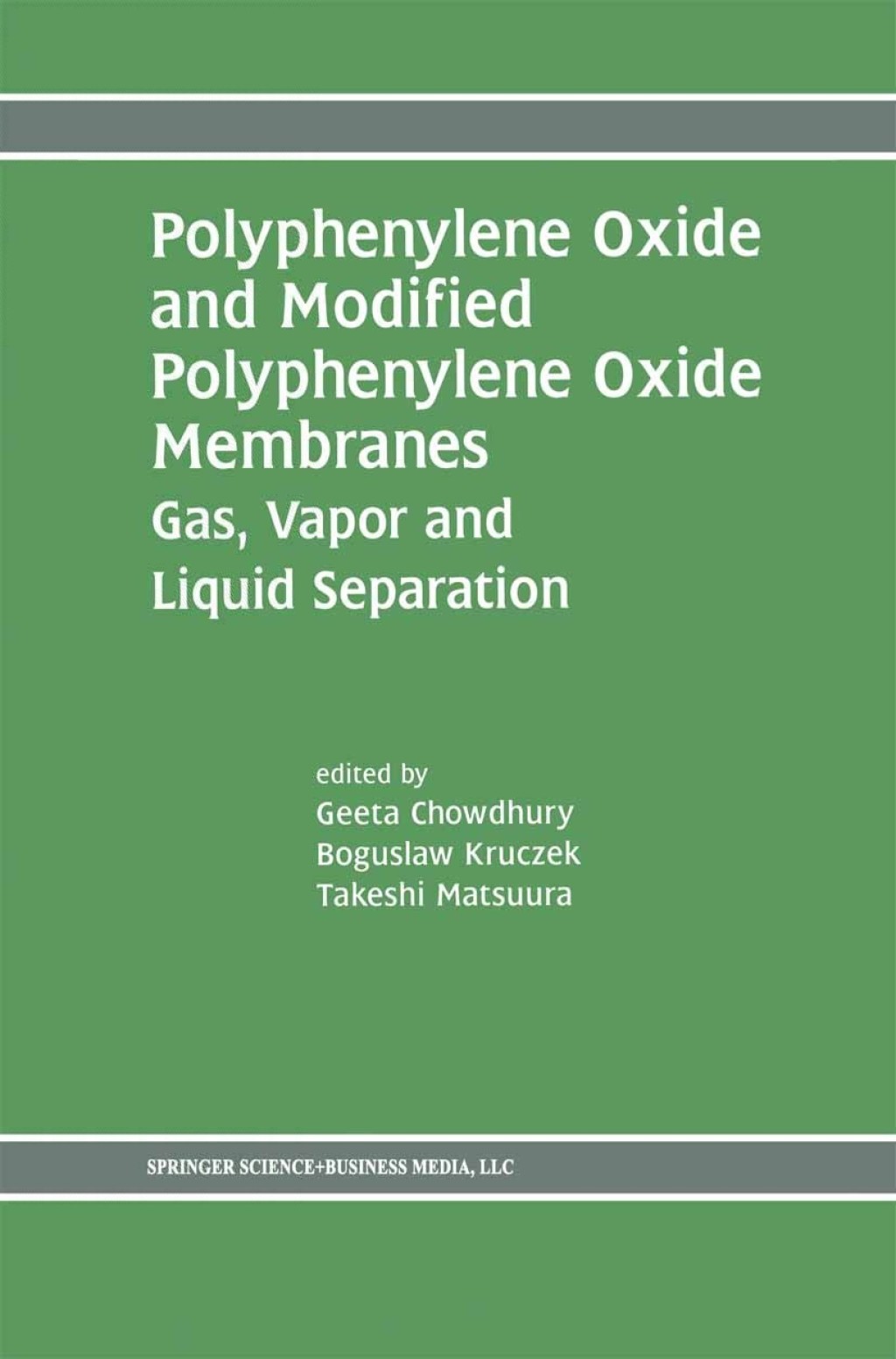 Polyphenylene Oxide and Modified Polyphenylene Oxide Membranes Gas, Vapor and Liquid Separation 1st Edition