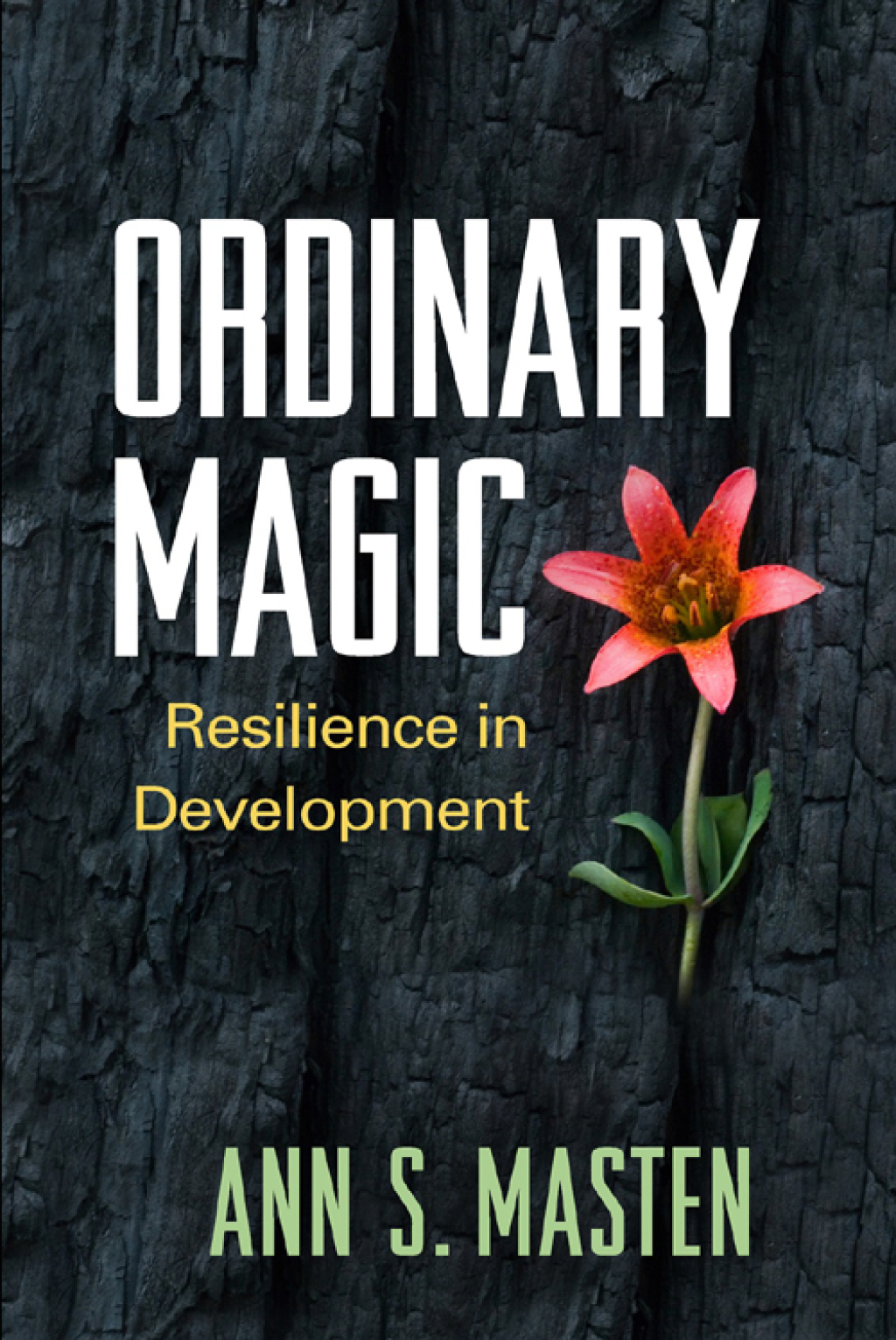 Ordinary Magic Resilience in Development 1st Edition