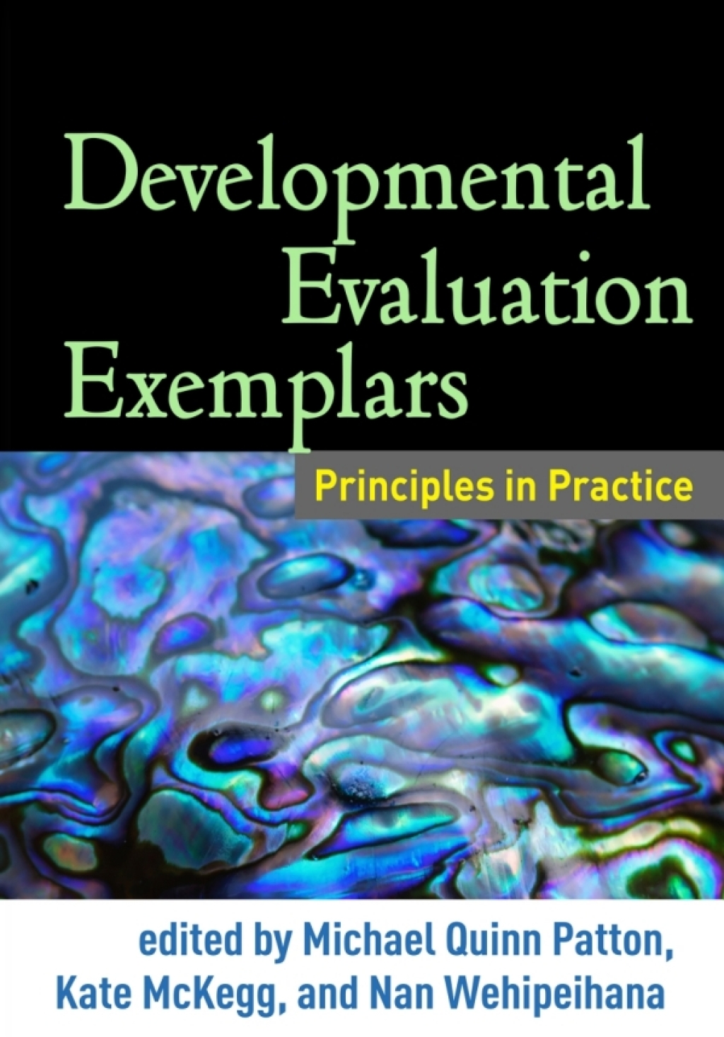 Developmental Evaluation Exemplars Principles in Practice 