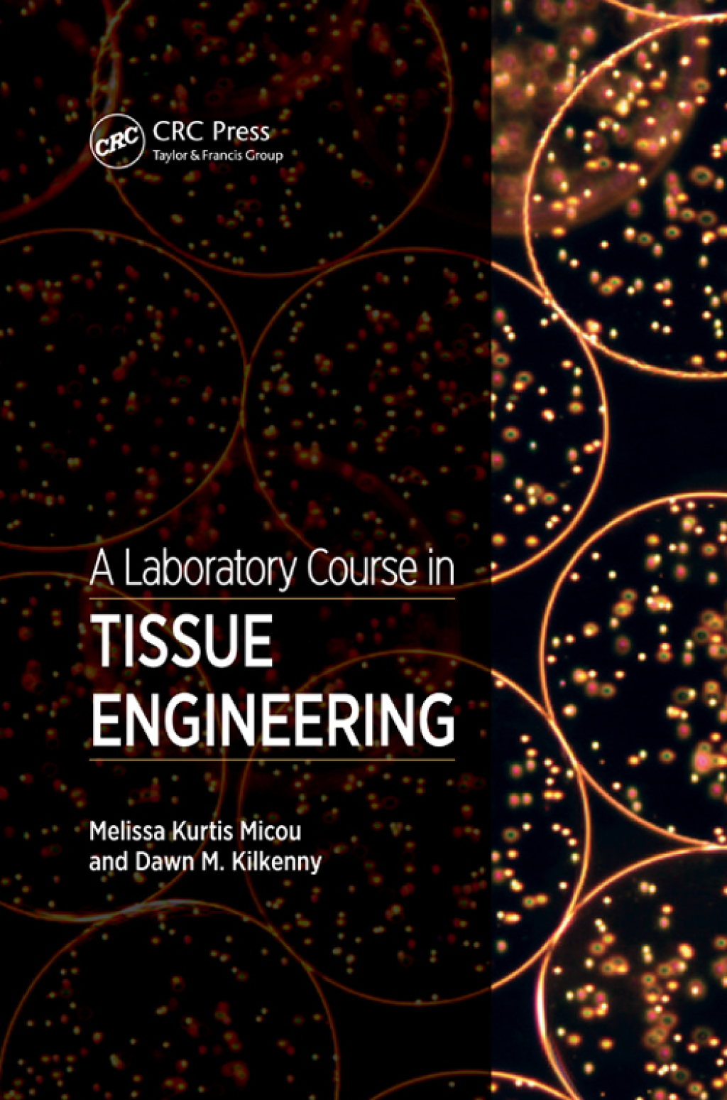 A Laboratory Course in Tissue Engineering 1st Edition