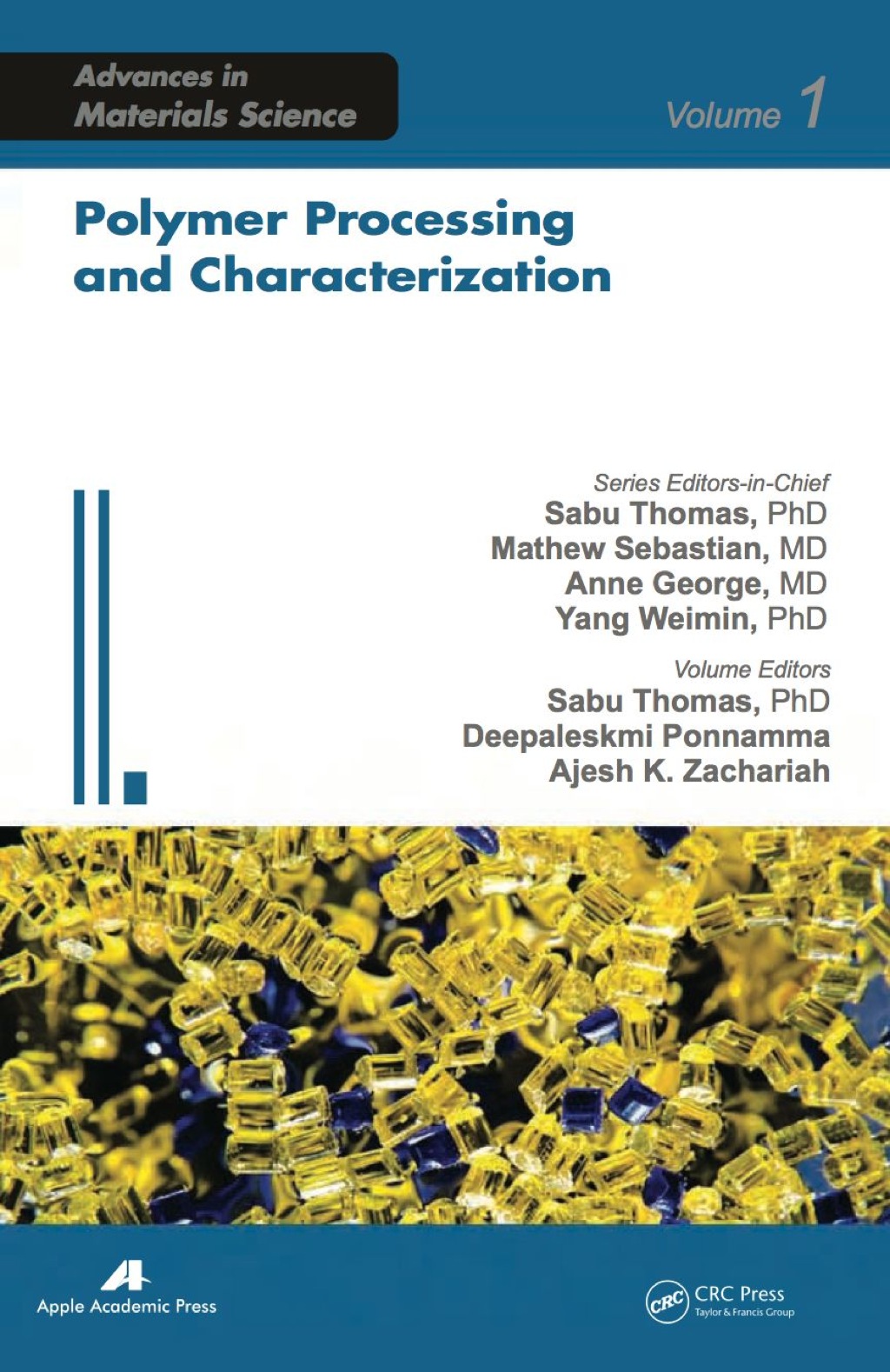 Polymer Processing and Characterization 1st Edition