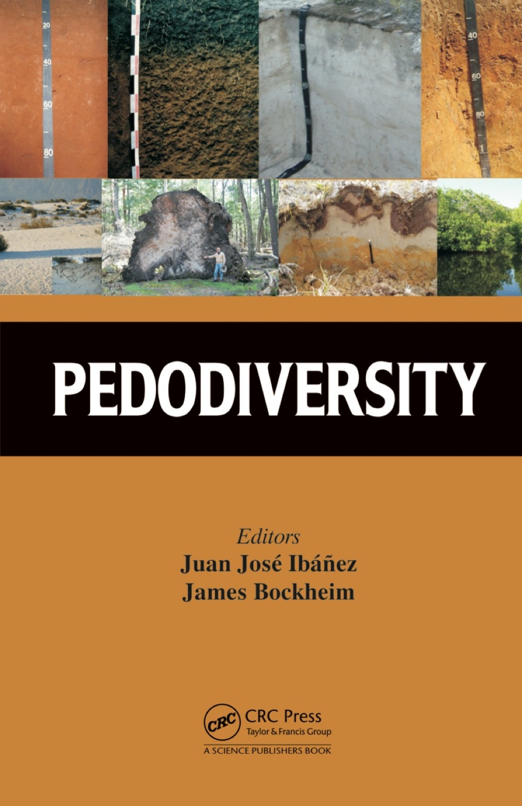 Pedodiversity 1st Edition