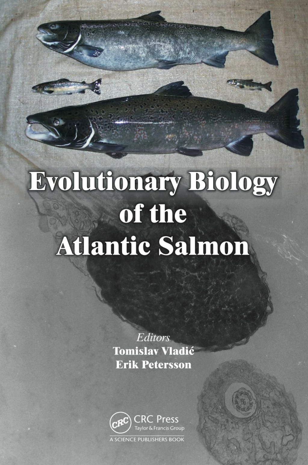 Evolutionary Biology of the Atlantic Salmon 1st Edition