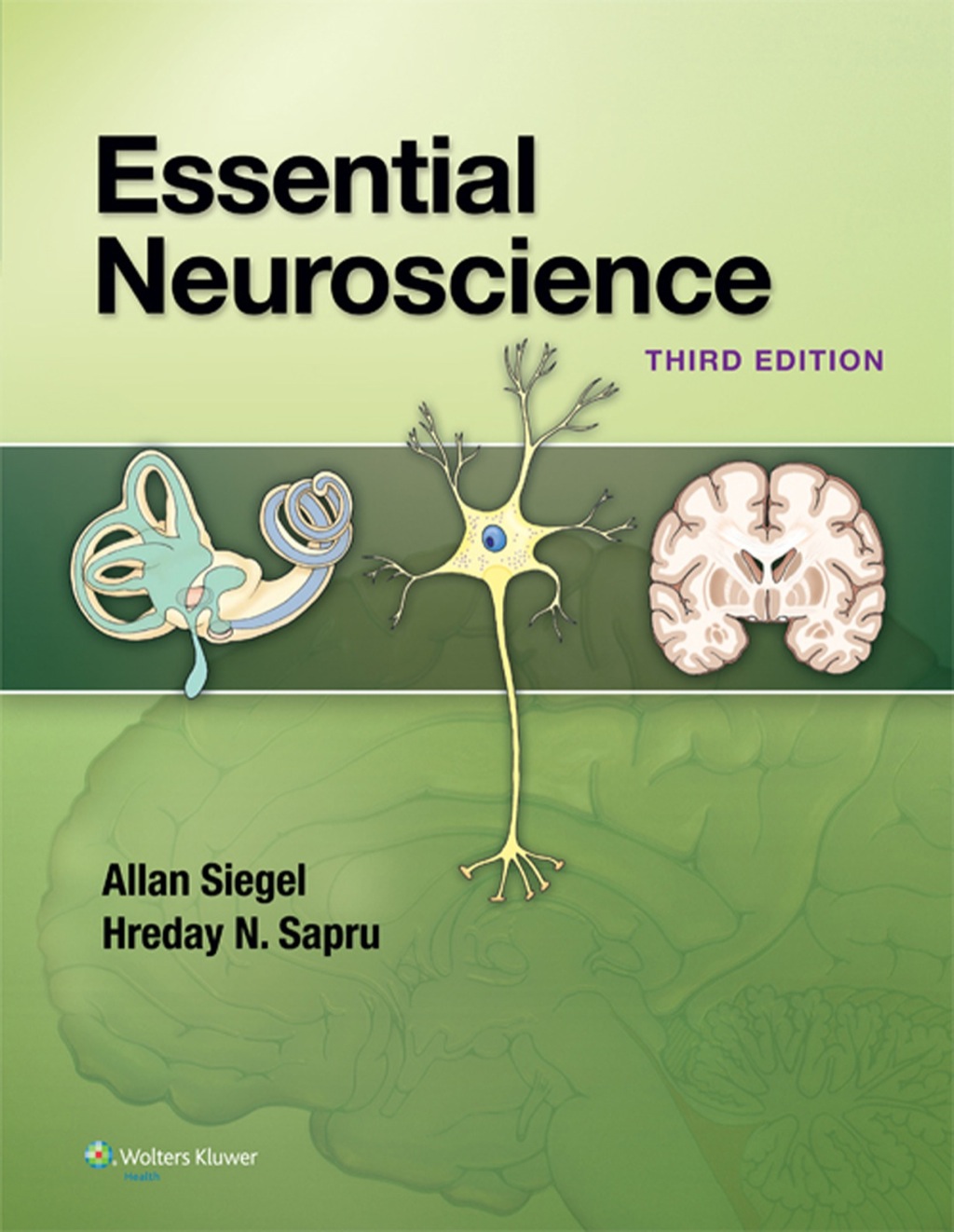 Essential Neuroscience 3rd Edition