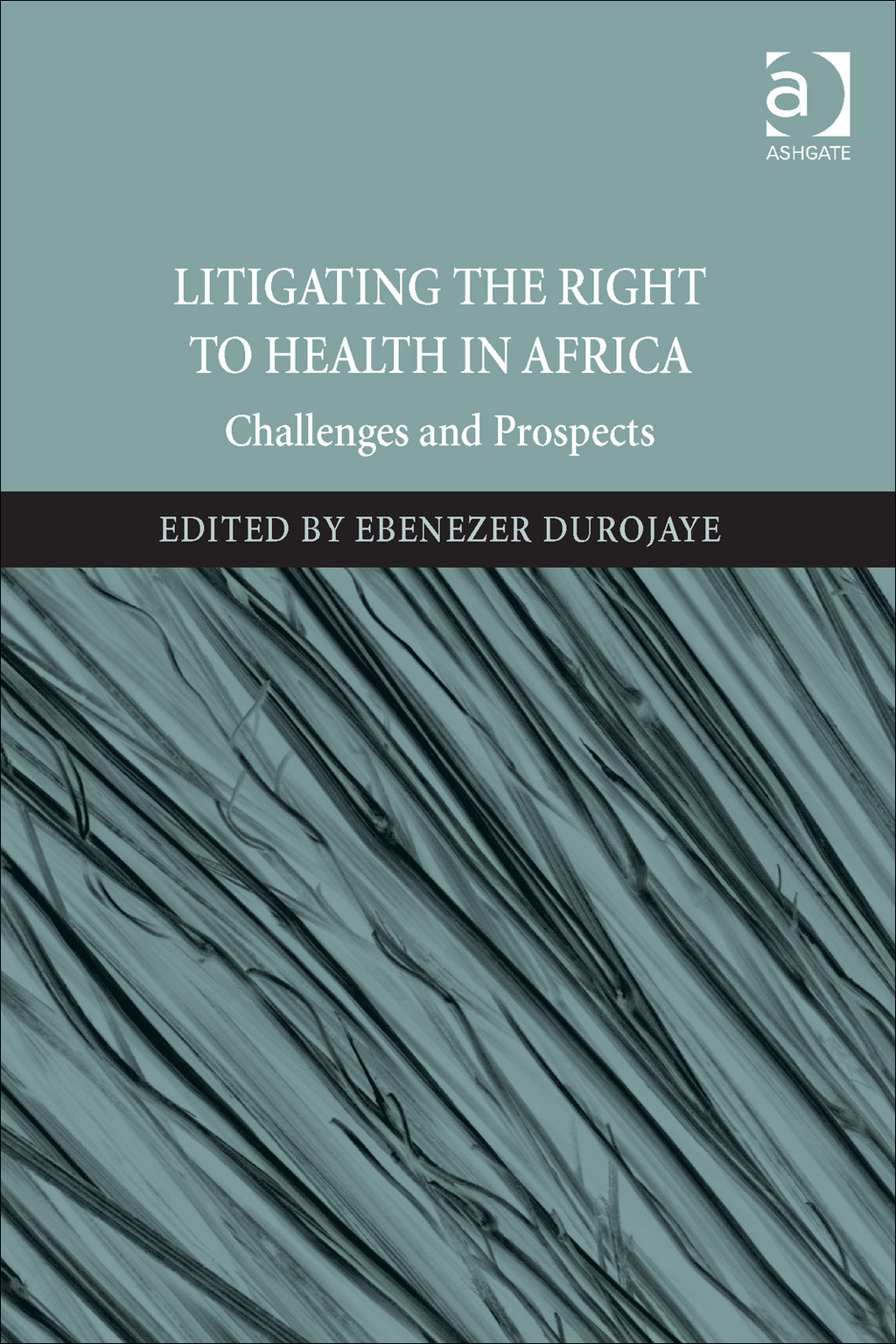 Litigating the Right to Health in Africa: Challenges and Prospects 