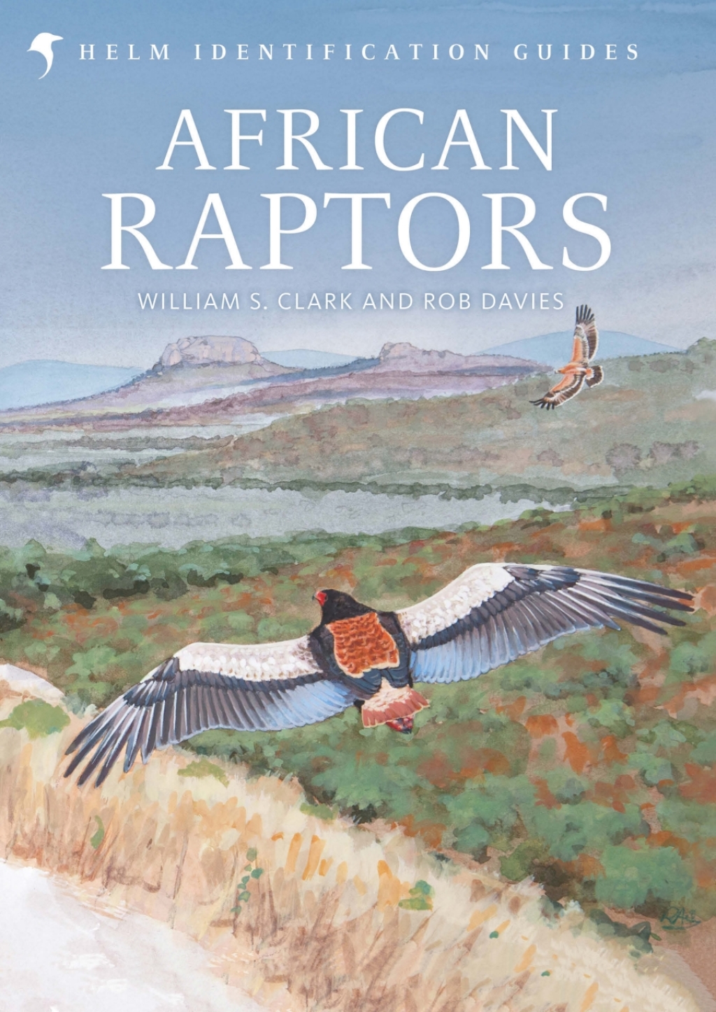 African Raptors 1st Edition