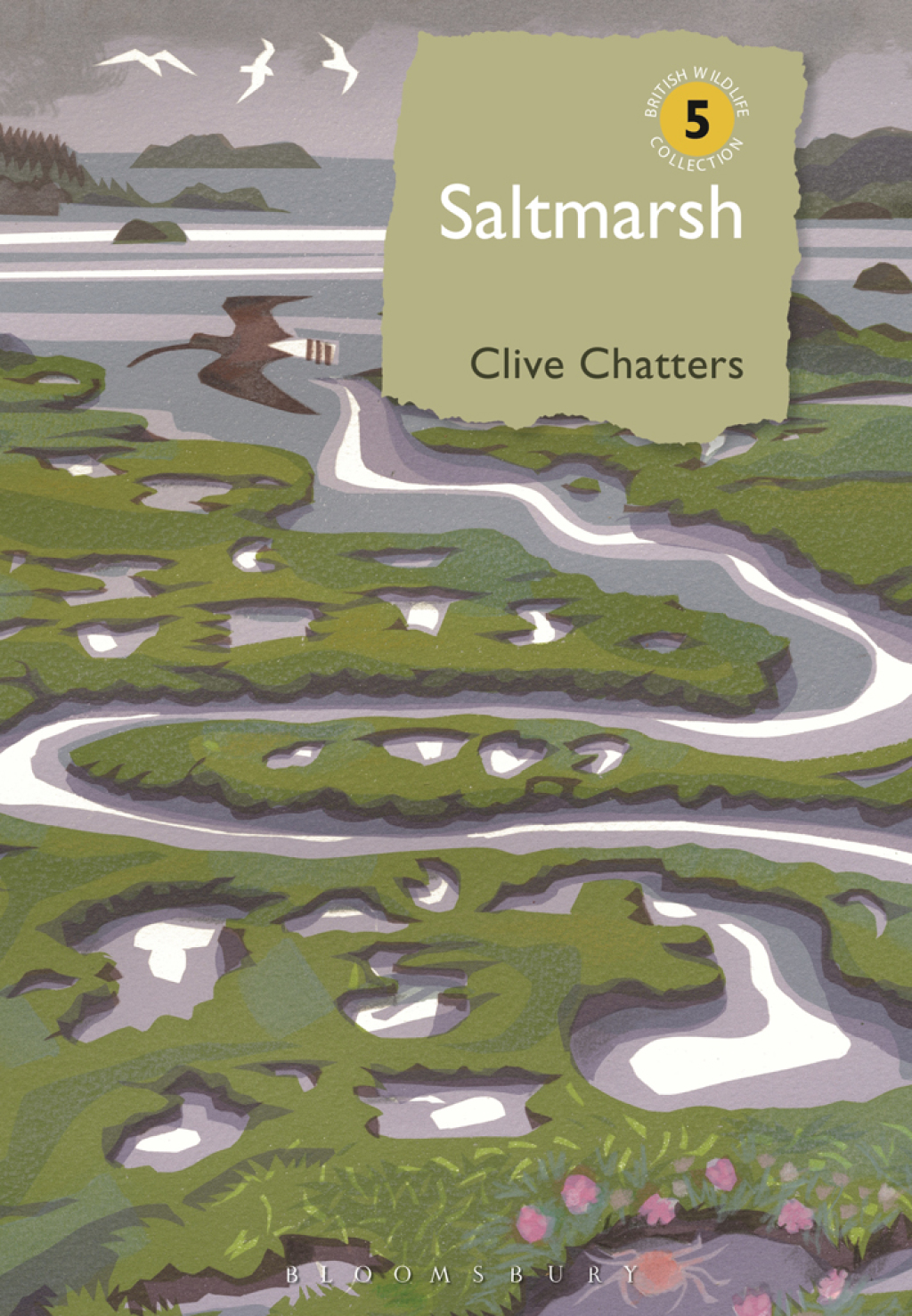 Saltmarsh 1st Edition