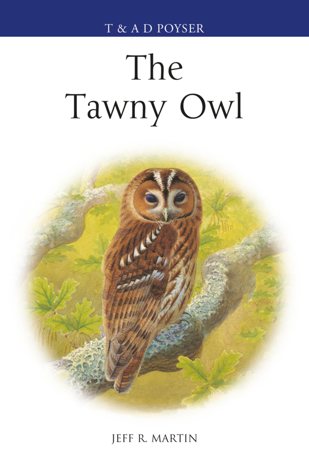 The Tawny Owl 1st Edition