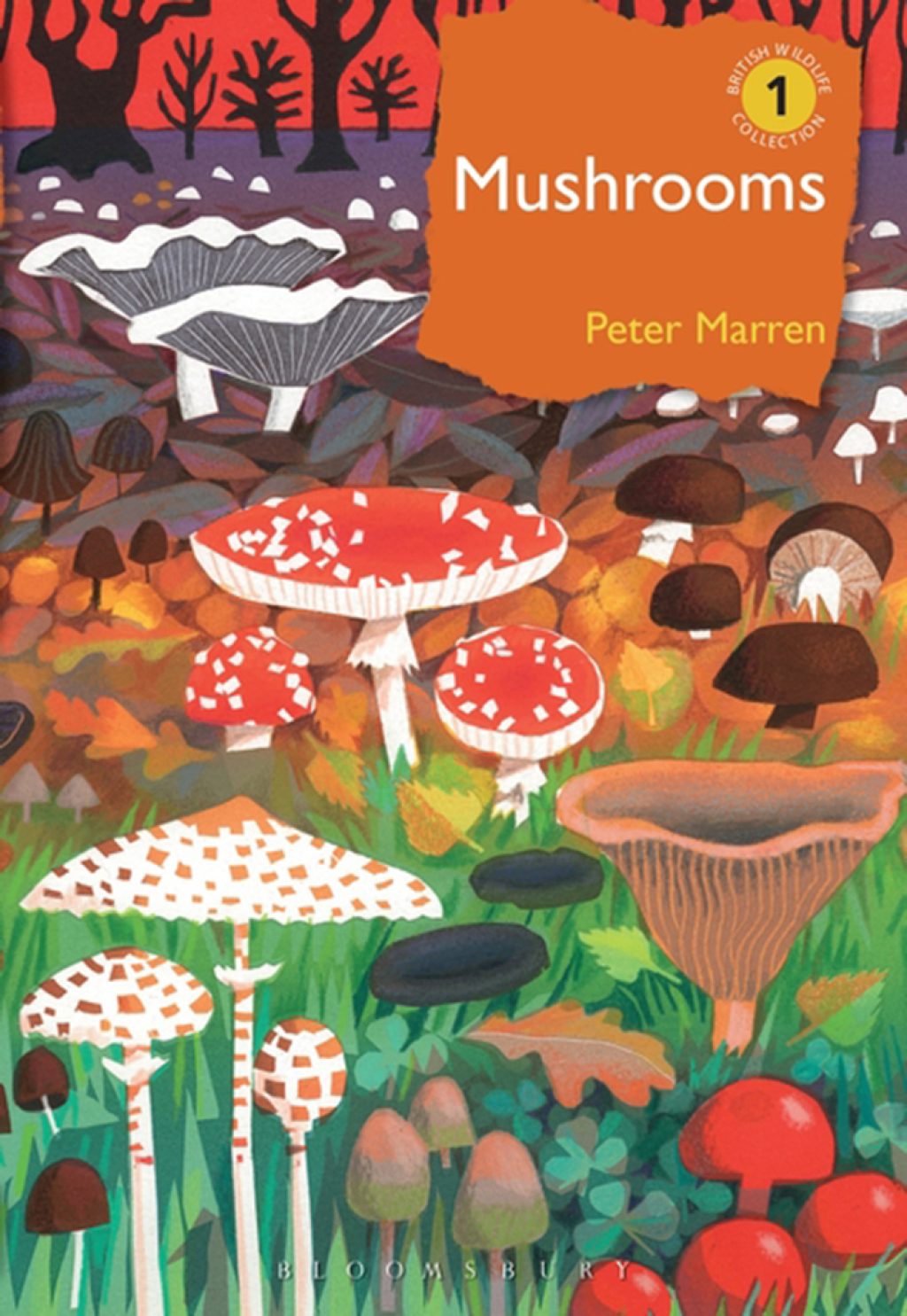 Mushrooms The natural and human world of British fungi 1st Edition