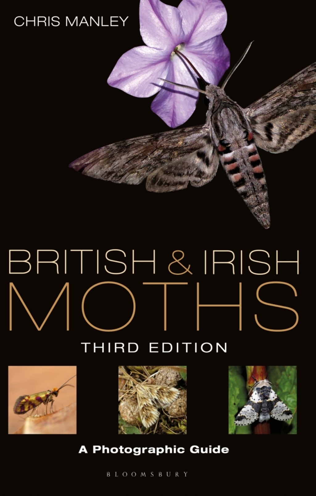 British and Irish Moths A Photographic Guide 3rd Edition