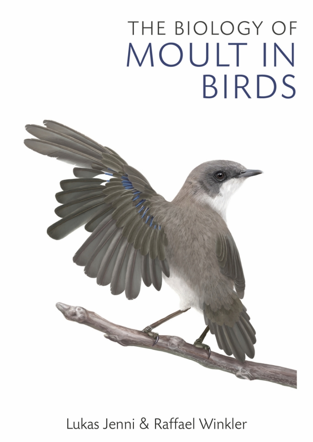 The Biology of Moult in Birds 1st Edition