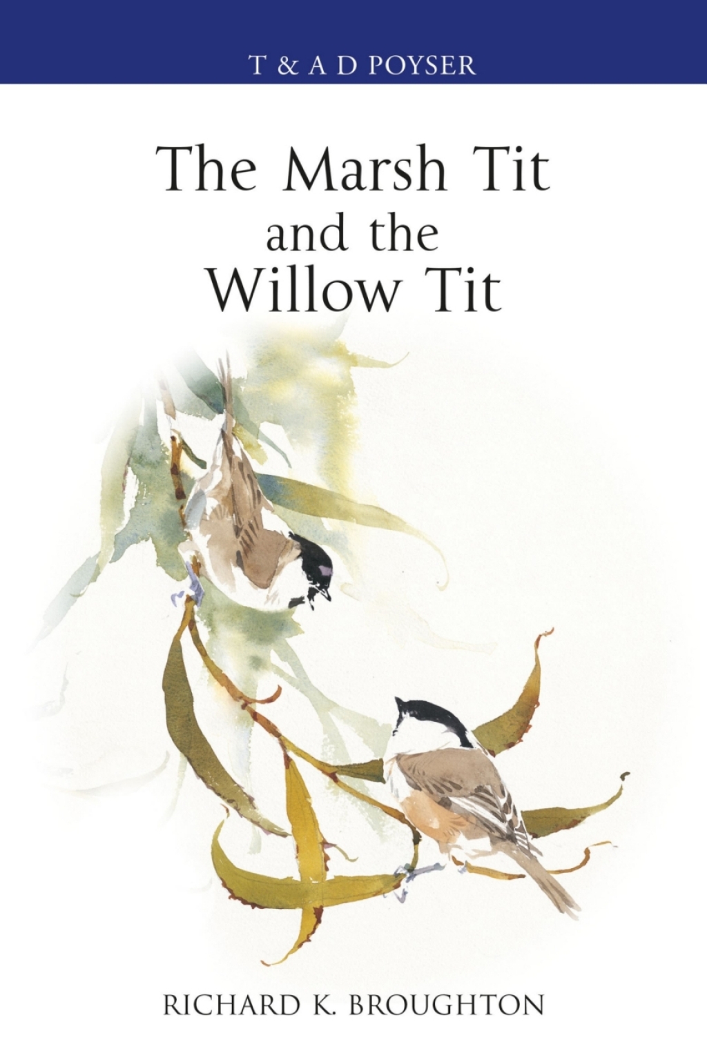 The Marsh Tit and The Willow Tit 1st Edition