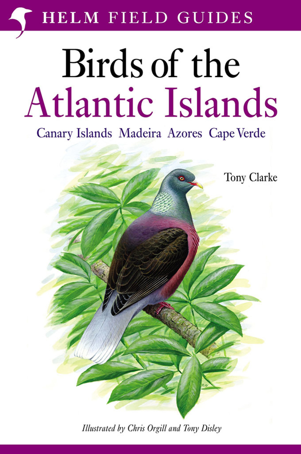 Field Guide to the Birds of the Atlantic Islands Canary Islands, Madeira, Azores, Cape Verde 1st Edition