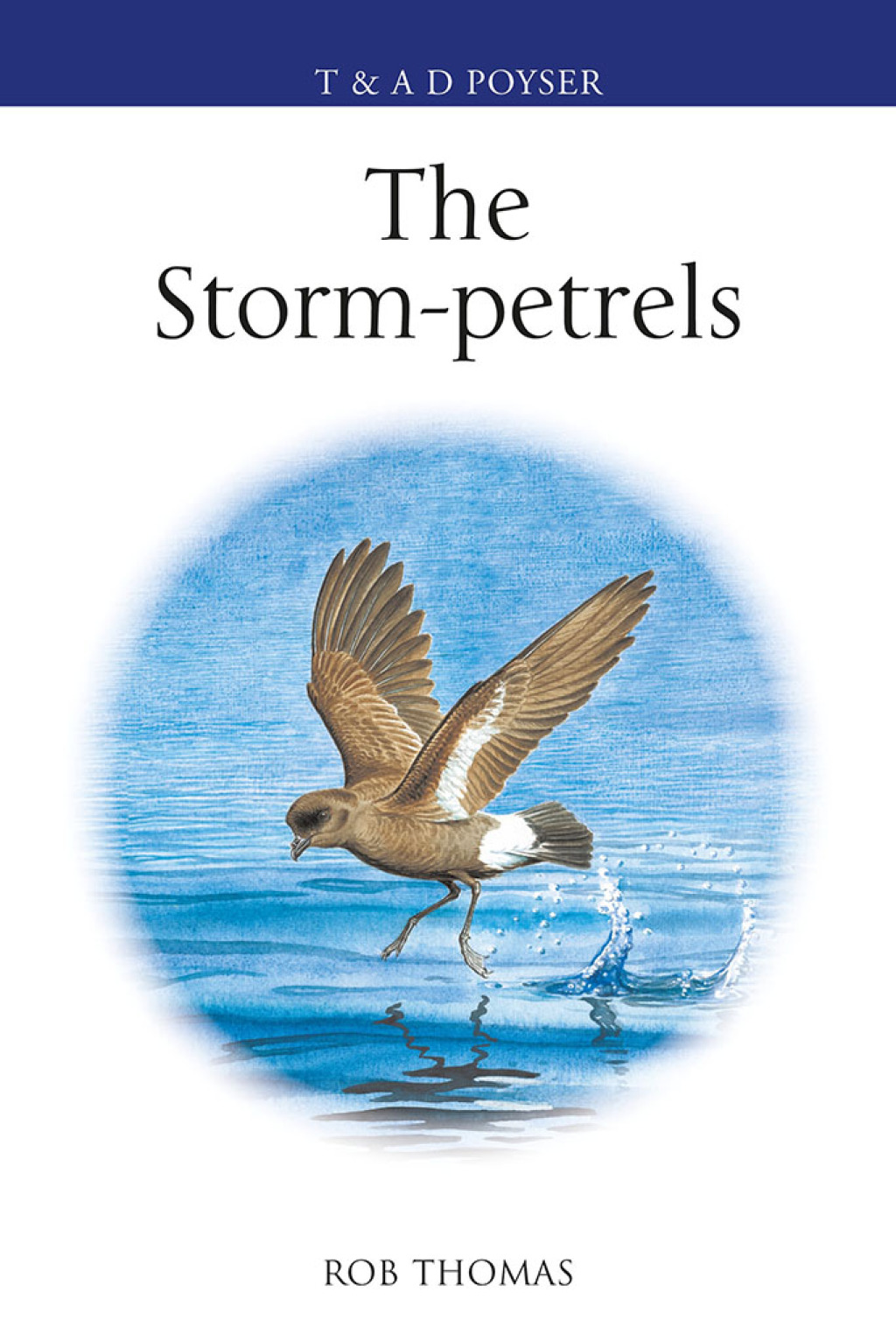 The Storm-petrels 1st Edition