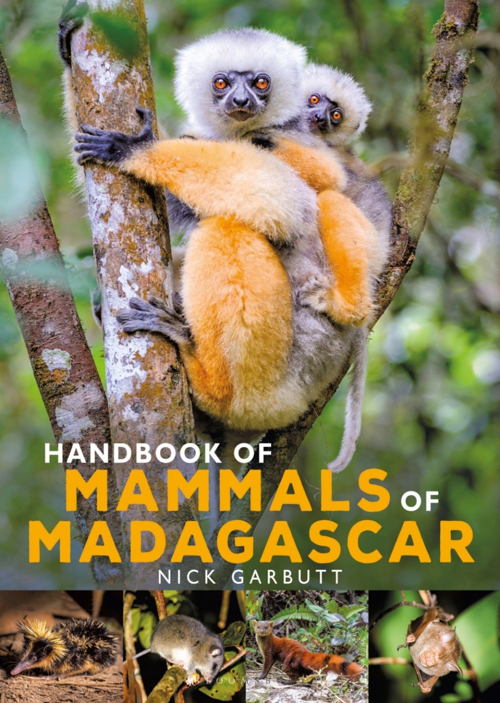 Handbook of Mammals of Madagascar 1st Edition