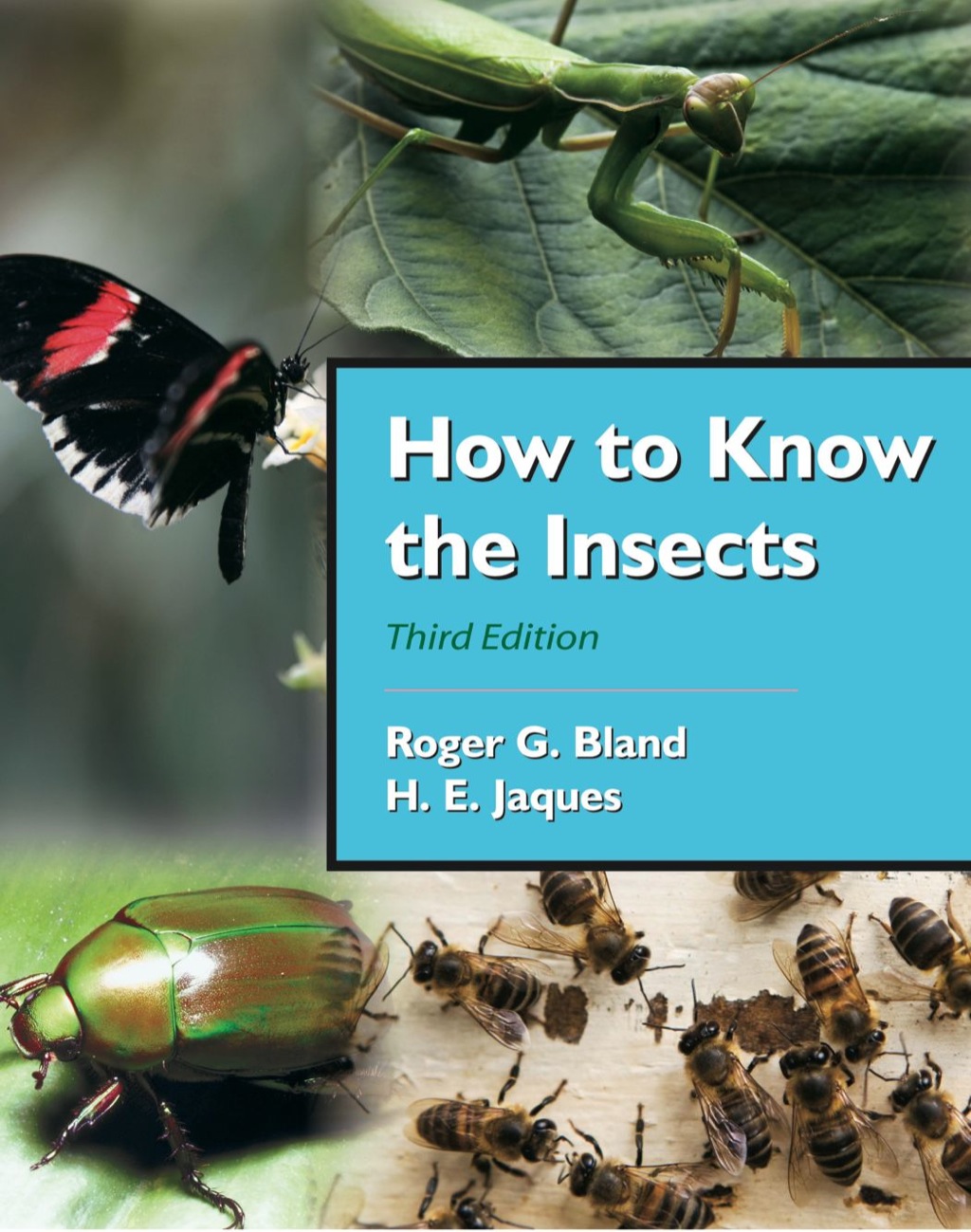 How to Know the Insects 3rd Edition
