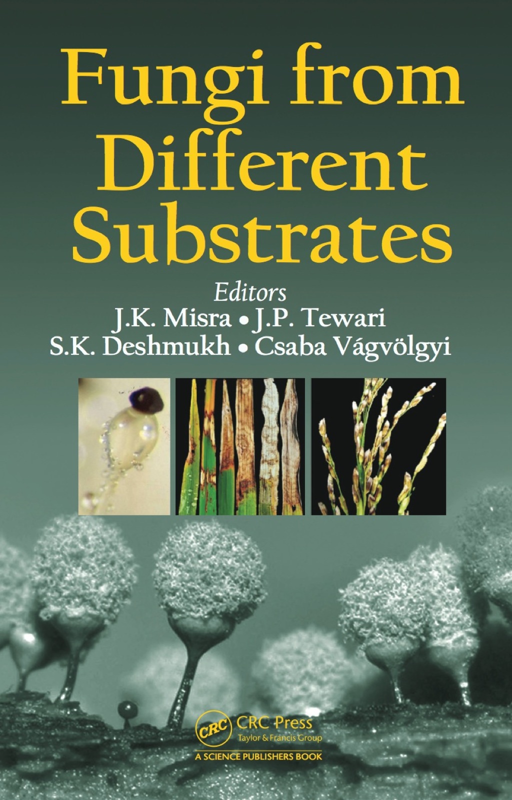 Fungi From Different Substrates 1st Edition