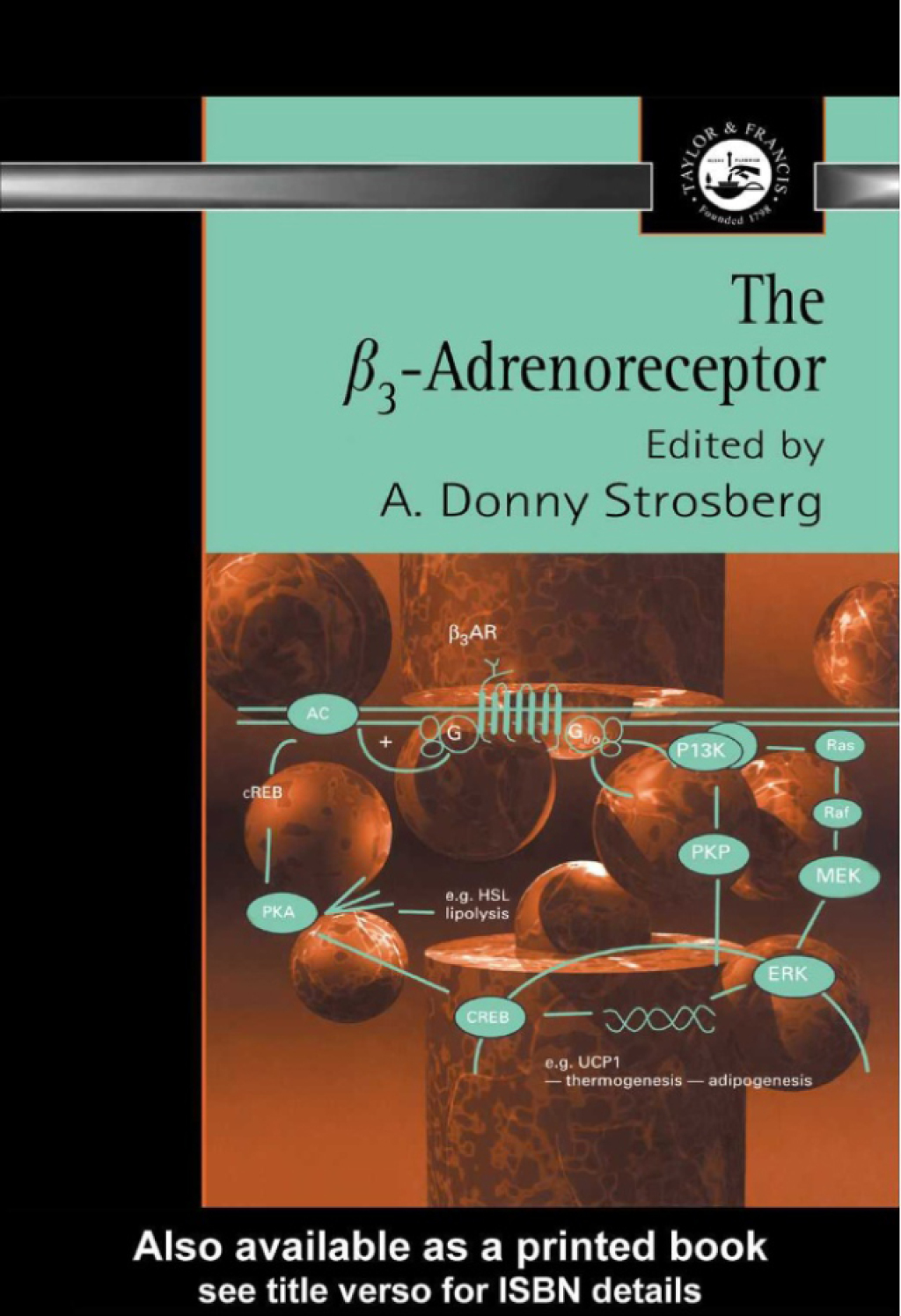 β3 Adrenoreceptor 1st Edition