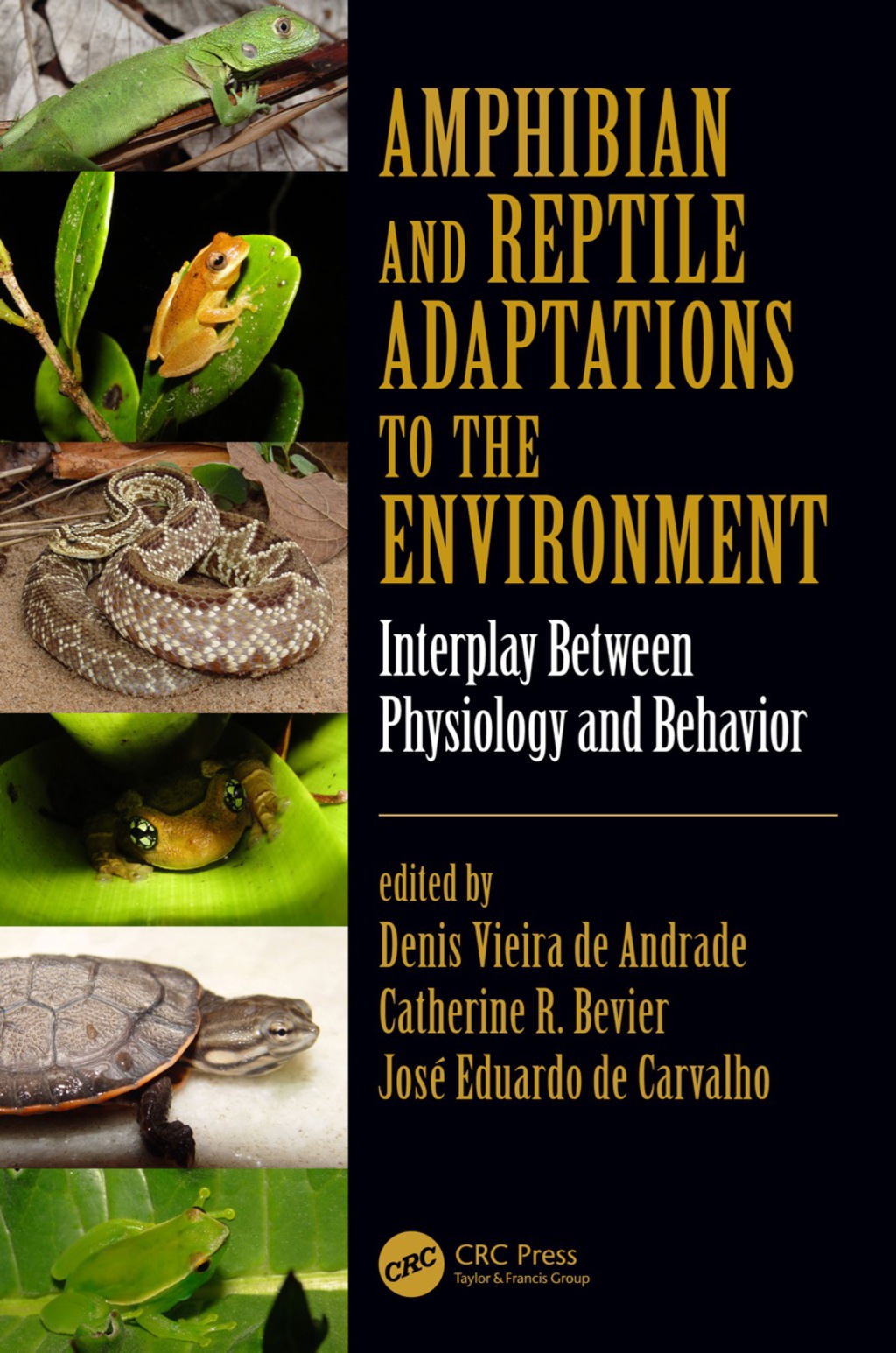 Amphibian and Reptile Adaptations to the Environment 1st Edition