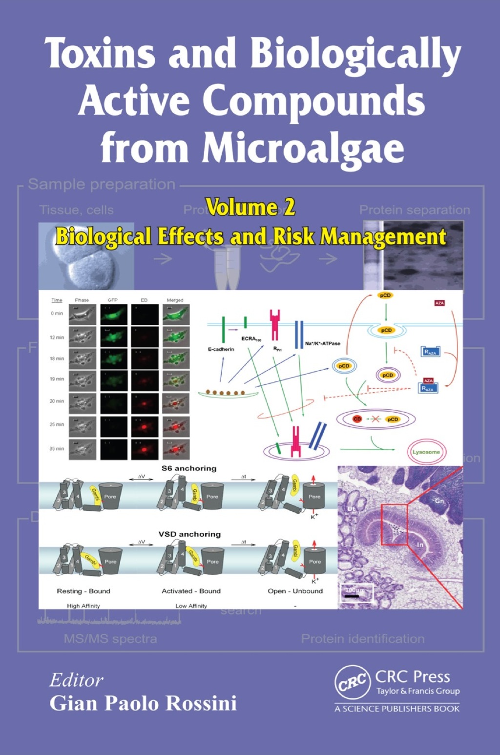 Toxins and Biologically Active Compounds from Microalgae, Volume 2 Biological Effects and Risk Management 1st Edition