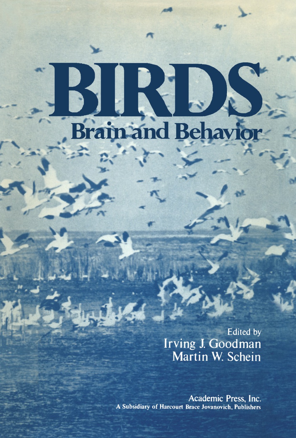 Birds Brain and Behavior 
