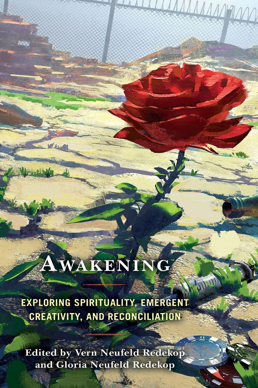 Awakening Exploring Spirituality, Emergent Creativity, and Reconciliation 