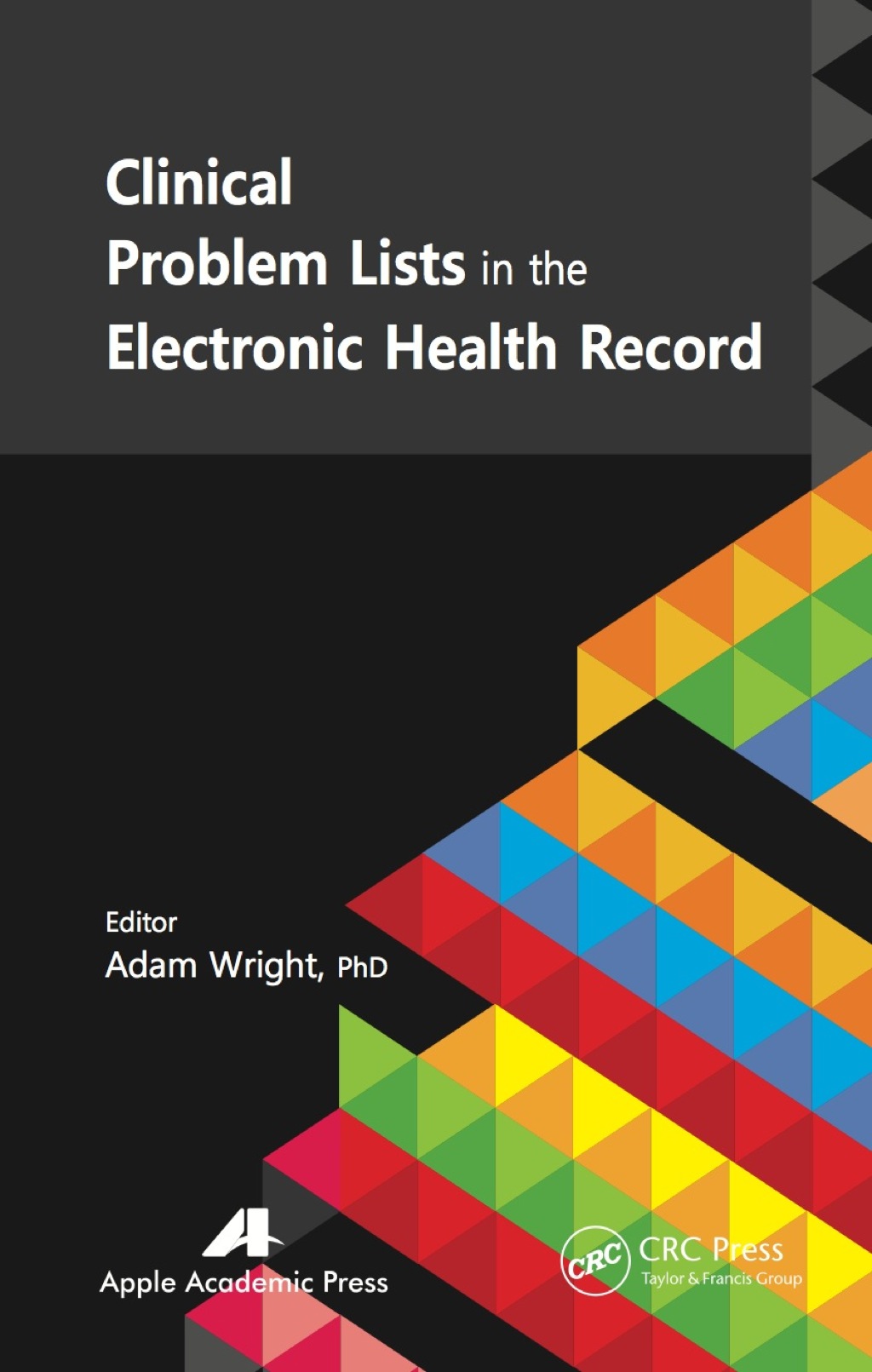 Clinical Problem Lists in the Electronic Health Record 1st Edition