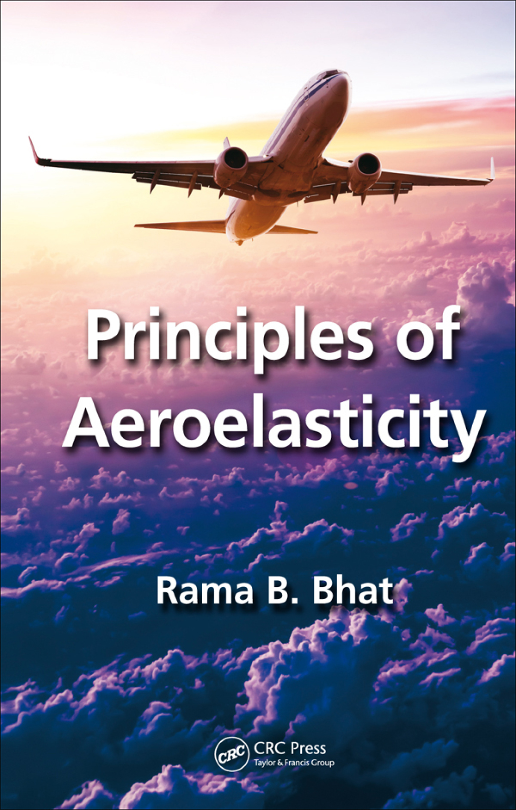 Principles of Aeroelasticity 1st Edition