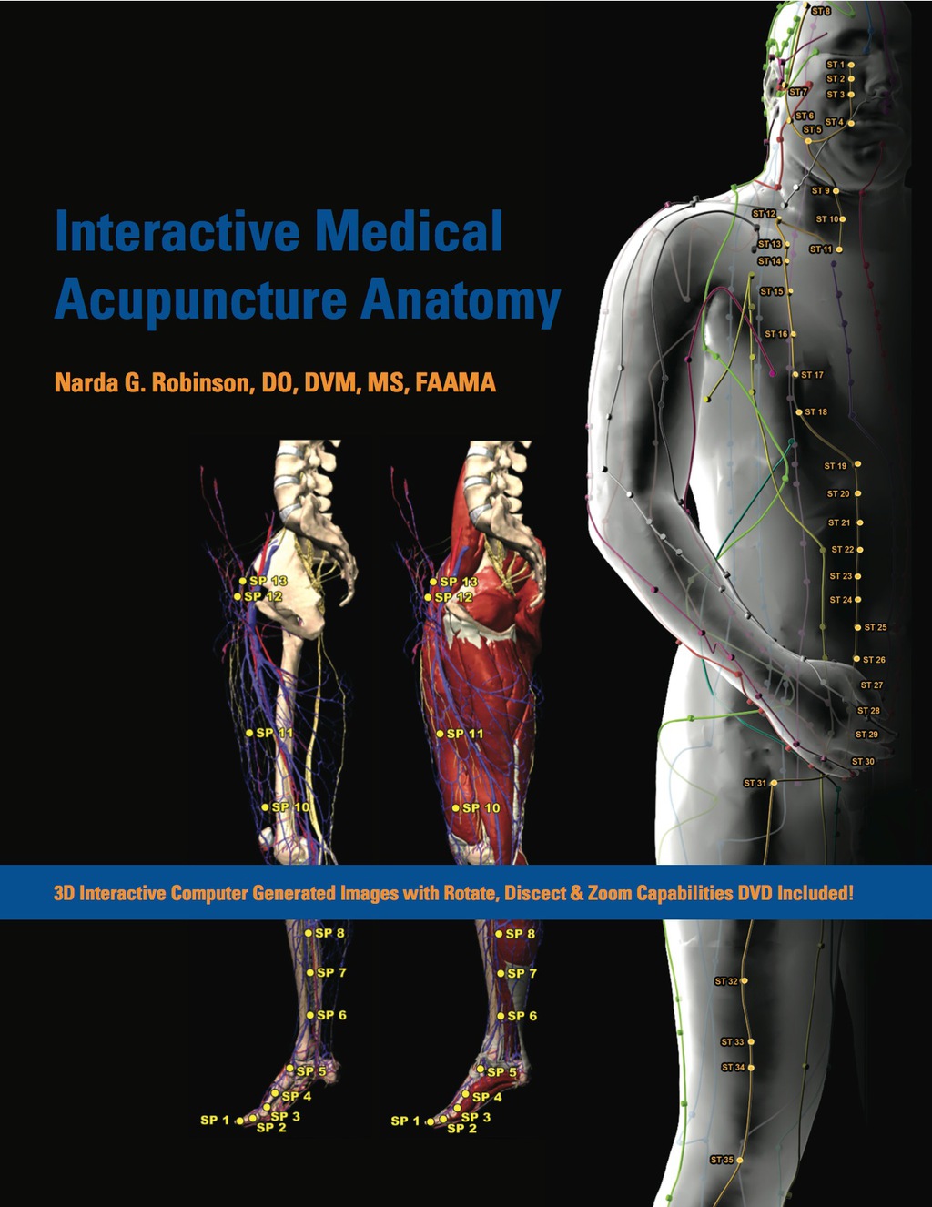 Interactive Medical Acupuncture Anatomy 1st Edition