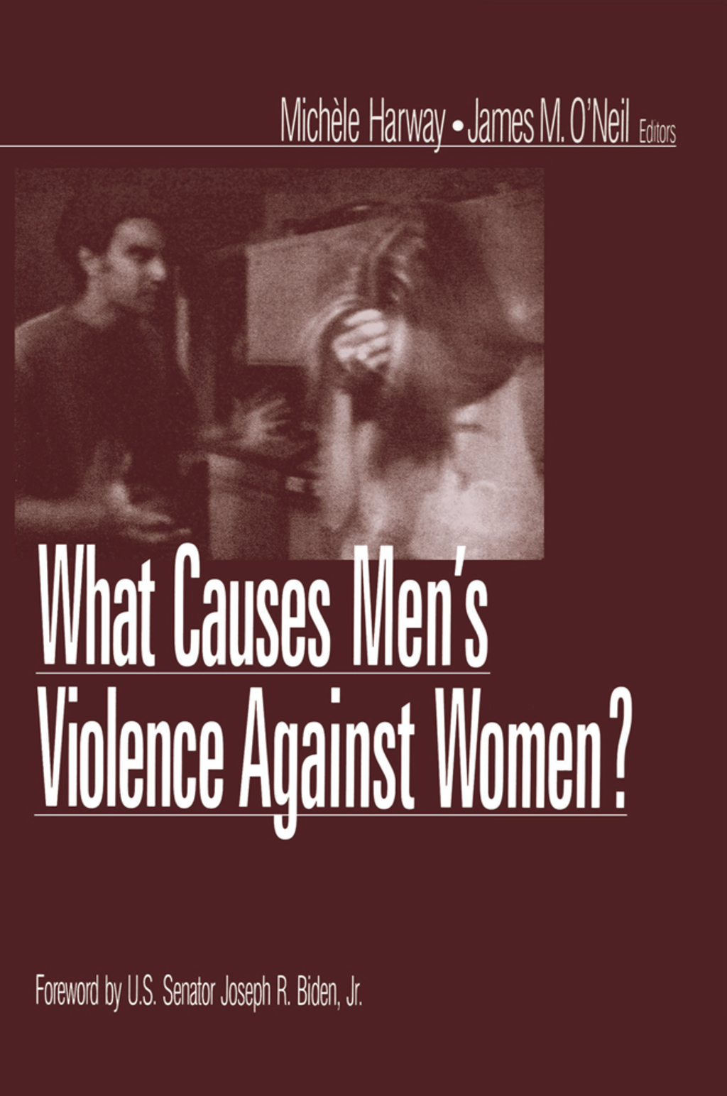 What Causes Men′s Violence Against Women? 1st Edition