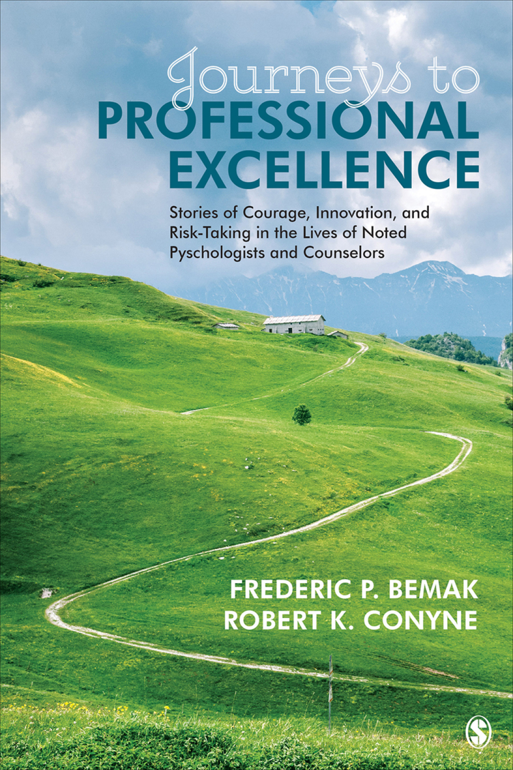 Journeys to Professional Excellence Stories of Courage, Innovation, and Risk-Taking in the Lives of Noted Psychologists and Counselors 1st Edition