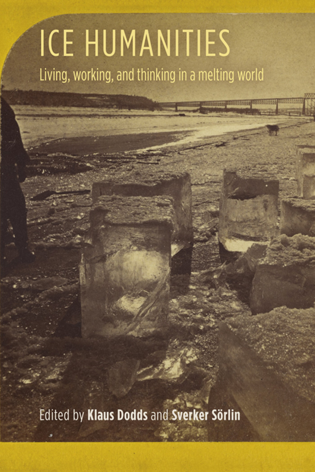 Ice humanities Living, working, and thinking in a melting world 
