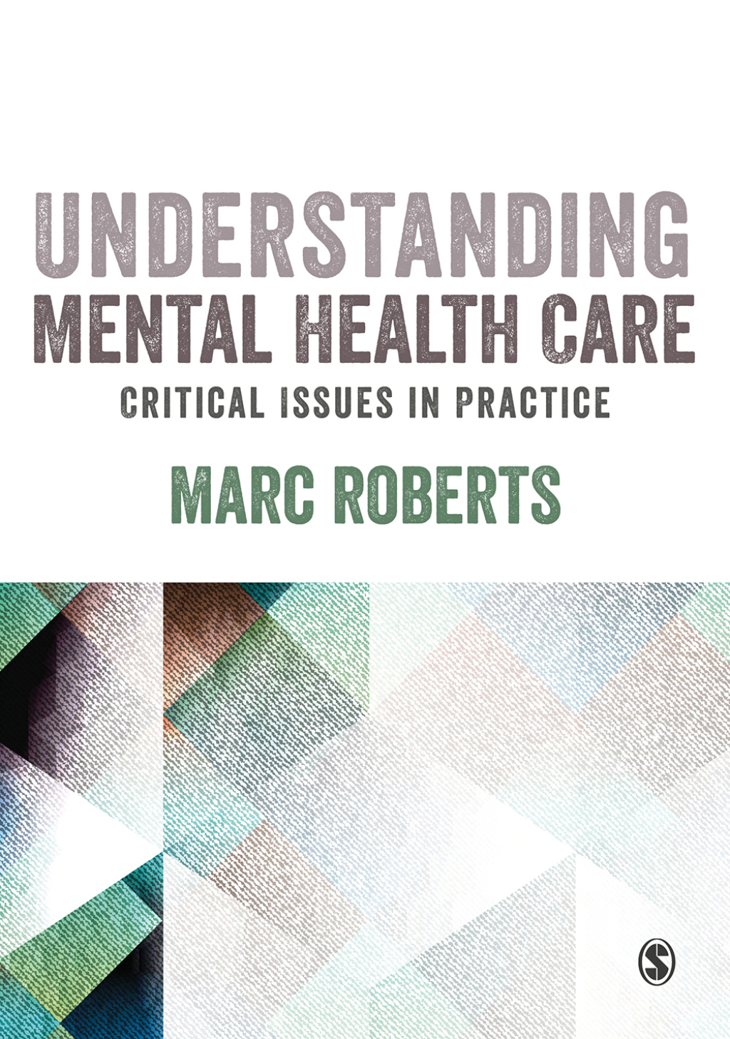 Understanding Mental Health Care: Critical Issues in Practice 1st Edition