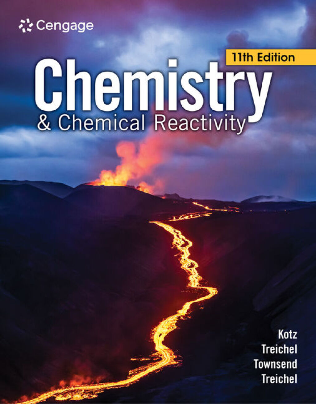 Student Solutions Manual for Chemistry & Chemical Reactivity 11th Edition