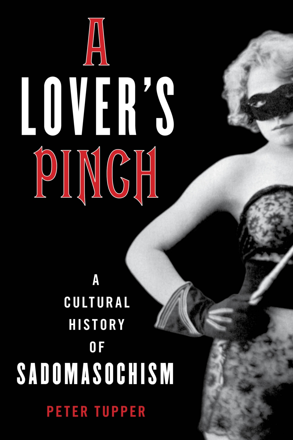 A Lover's Pinch A Cultural History of Sadomasochism 