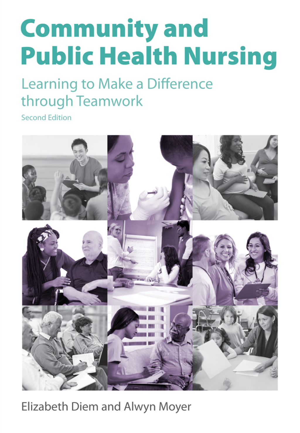 Community and Public Health Nursing Learning to Make a Difference through Teamwork 2nd Edition