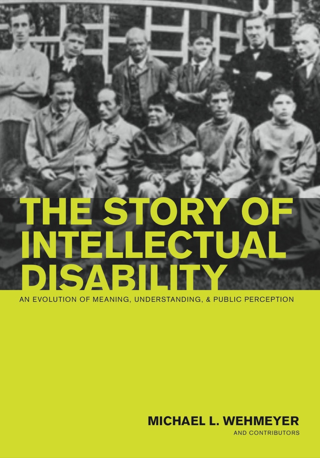The Story of Intellectual Disability 1st Edition