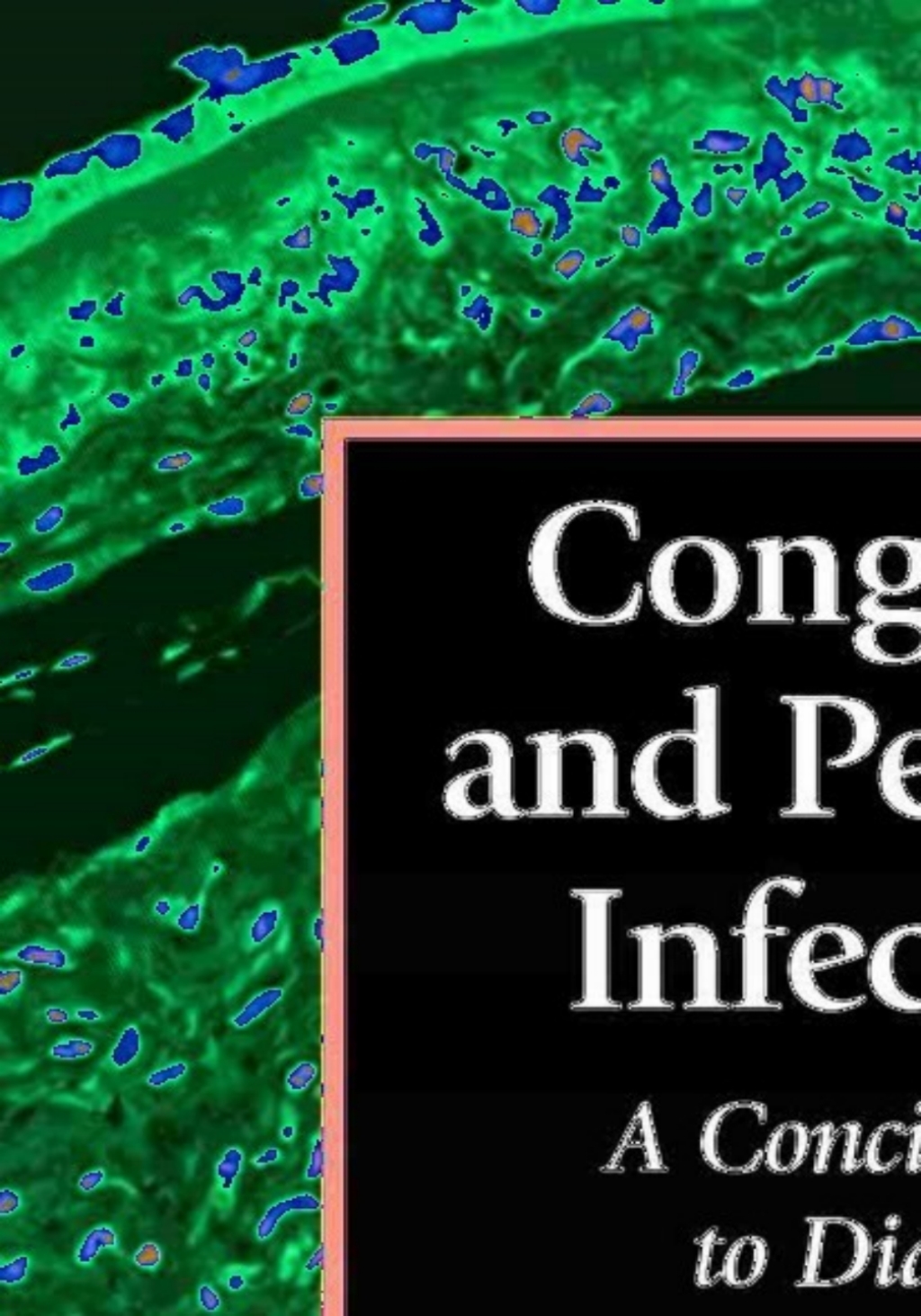 Congenital and Perinatal Infections 1st Edition