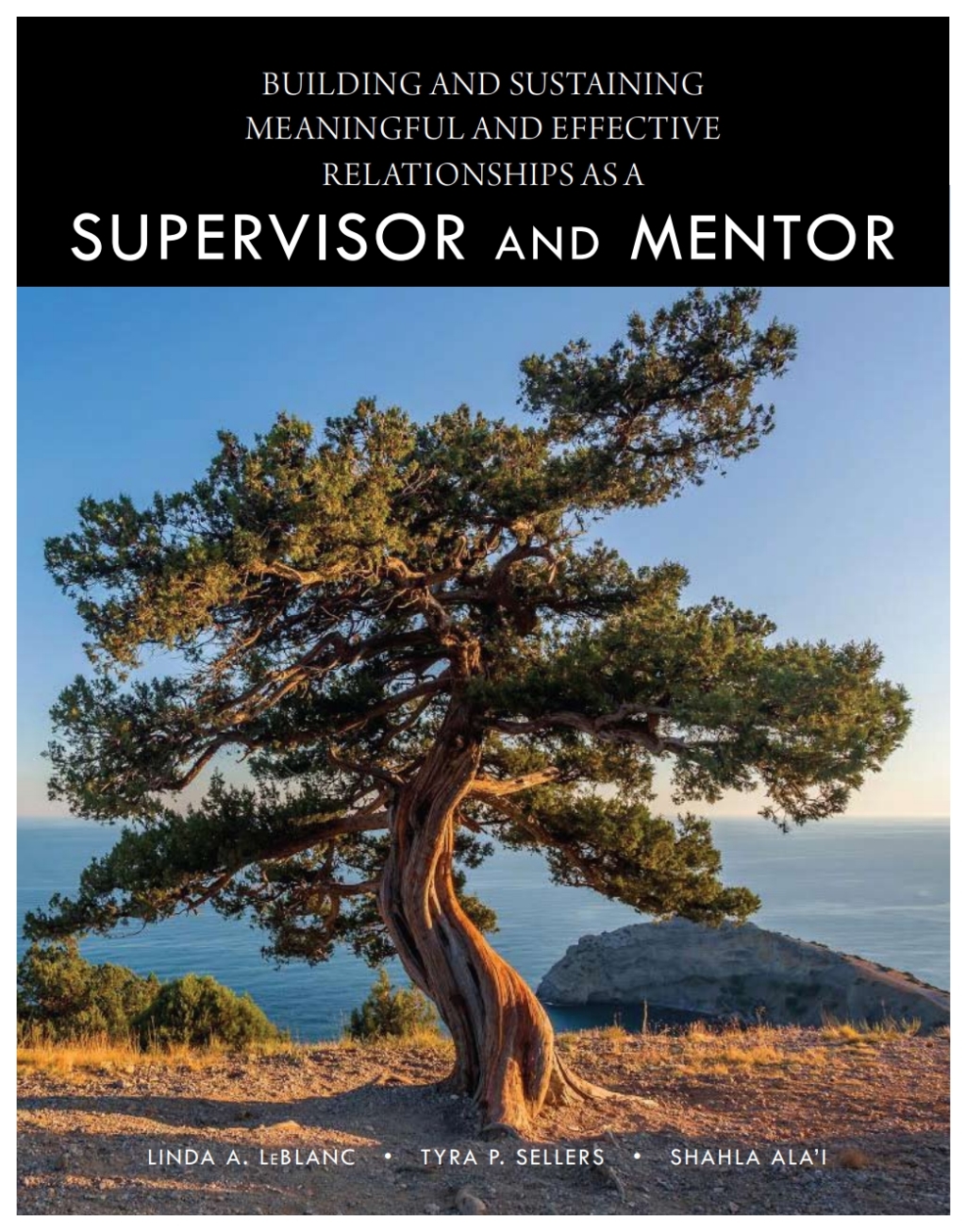 Building and Sustaining Meaningful and Effective Relationships as a Supervisor and Mentor 1st Edition