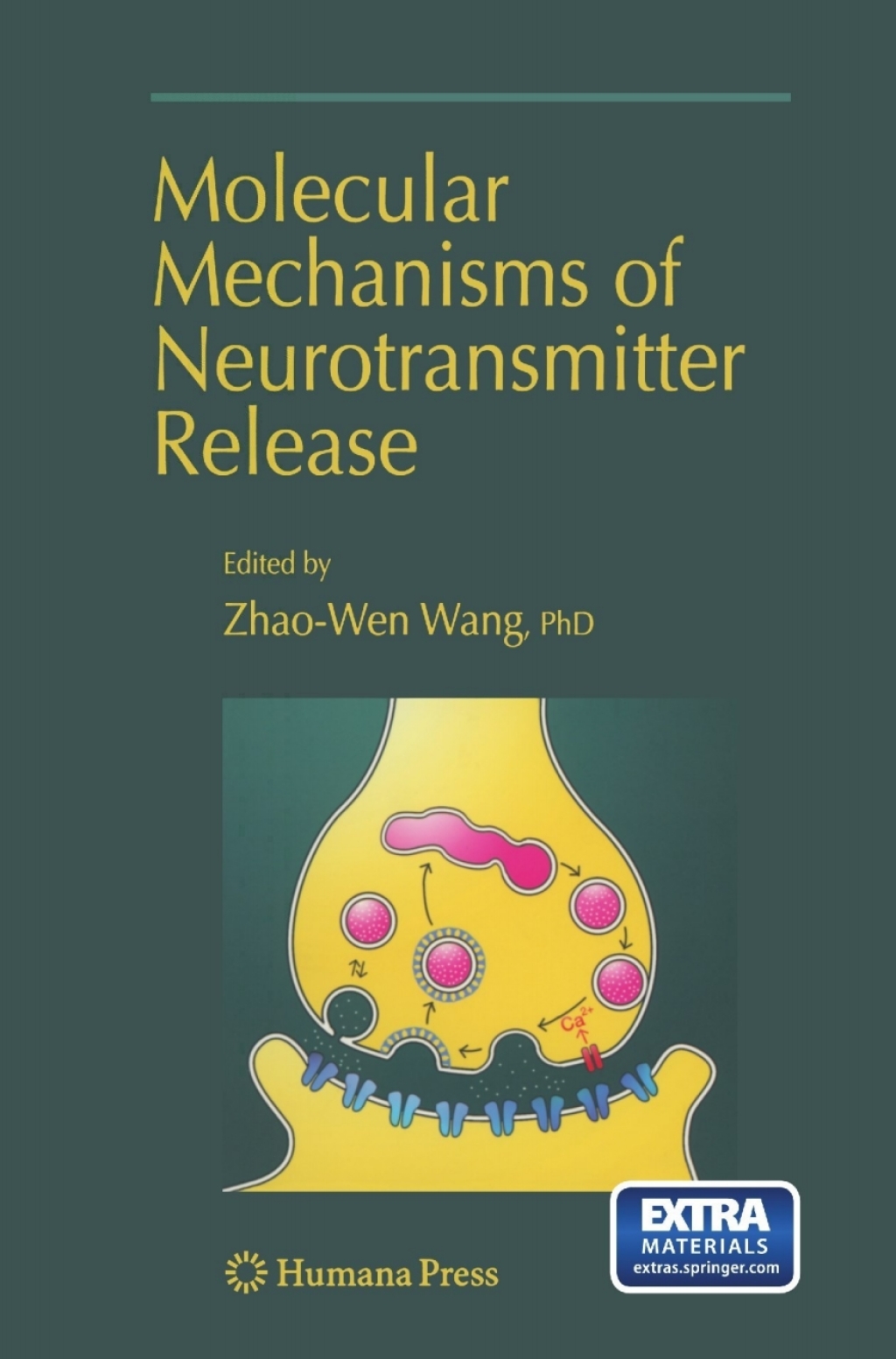 Molecular Mechanisms of Neurotransmitter Release 