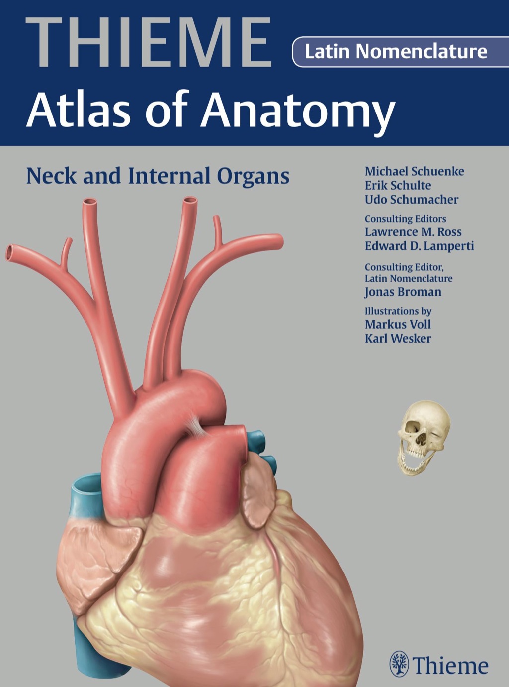 Neck and Internal Organs (THIEME Atlas of Anatomy) 1st Edition