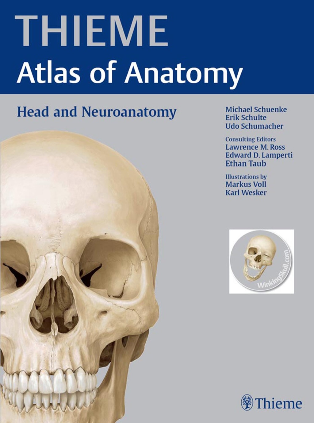 Head and Neuroanatomy (THIEME Atlas of Anatomy) 1st Edition