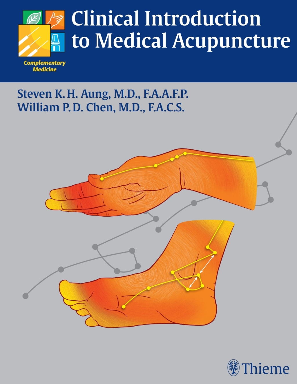 Clinical Introduction to Medical Acupuncture 1st Edition