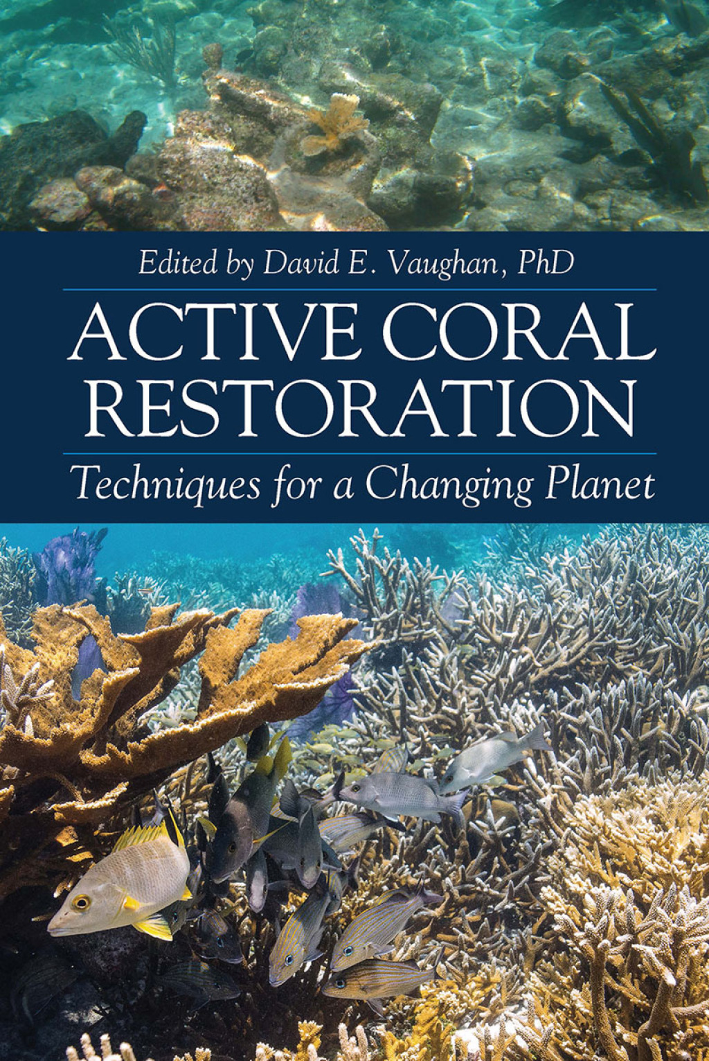 Active Coral Restoration 1st Edition