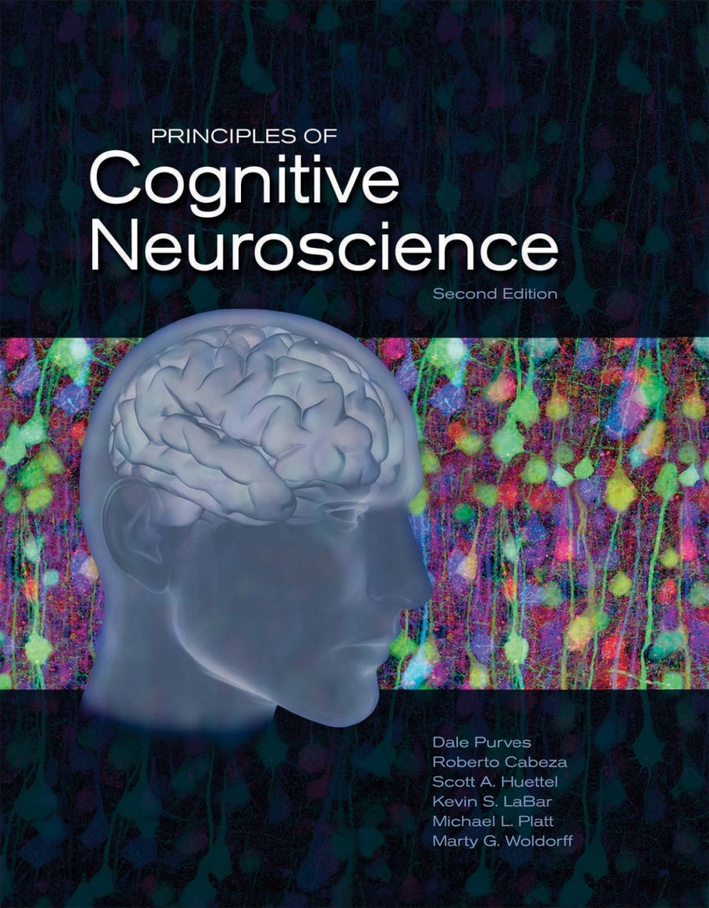 Principles of Cognitive Neuroscience 2nd Edition