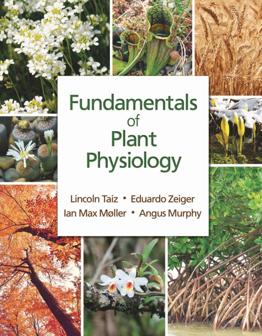 Fundamentals of Plant Physiology 1st Edition