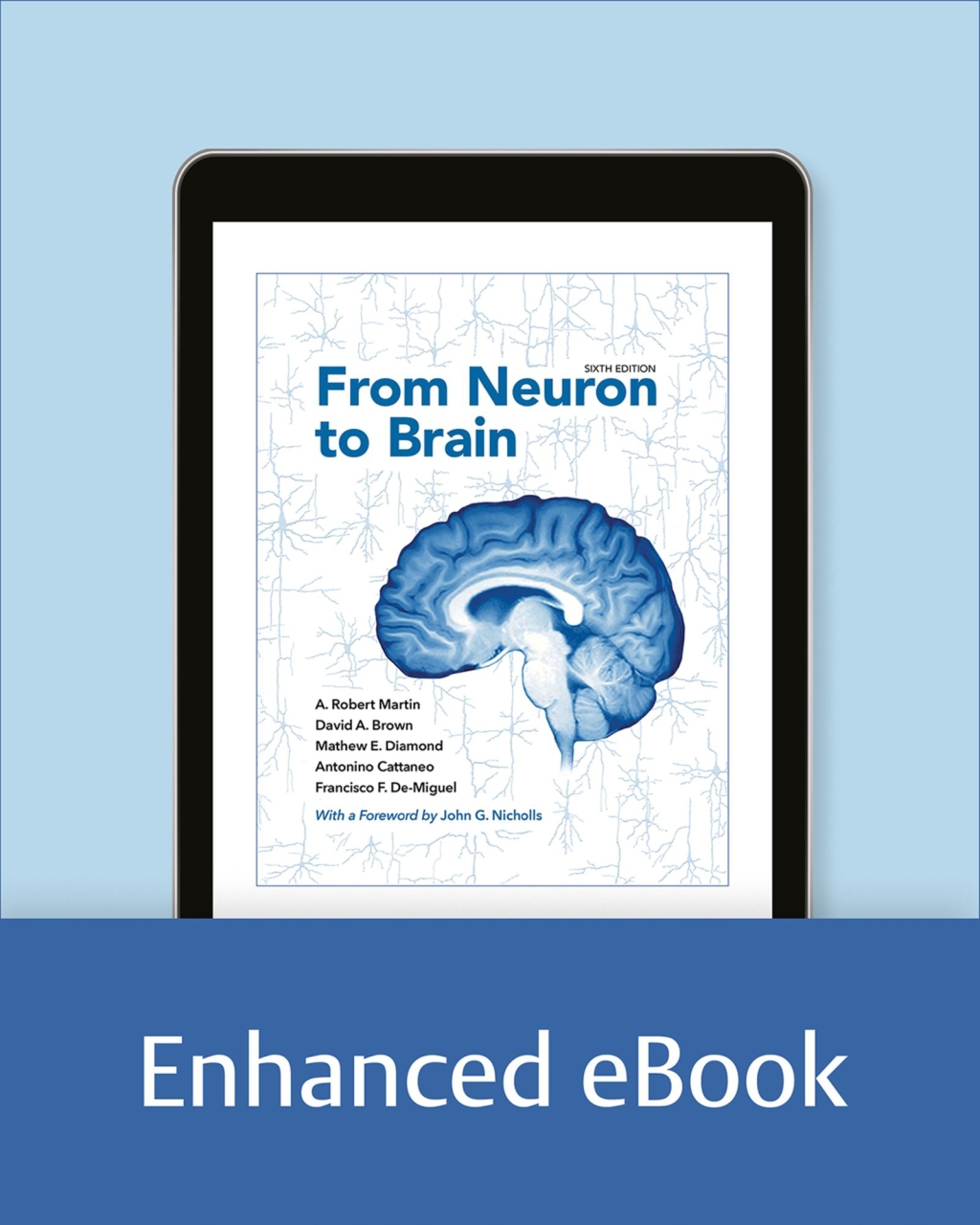 From Neuron to Brain 6th Edition